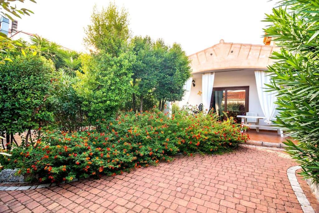 Residence Lu Soli Budoni Affitti المظهر الخارجي الصورة