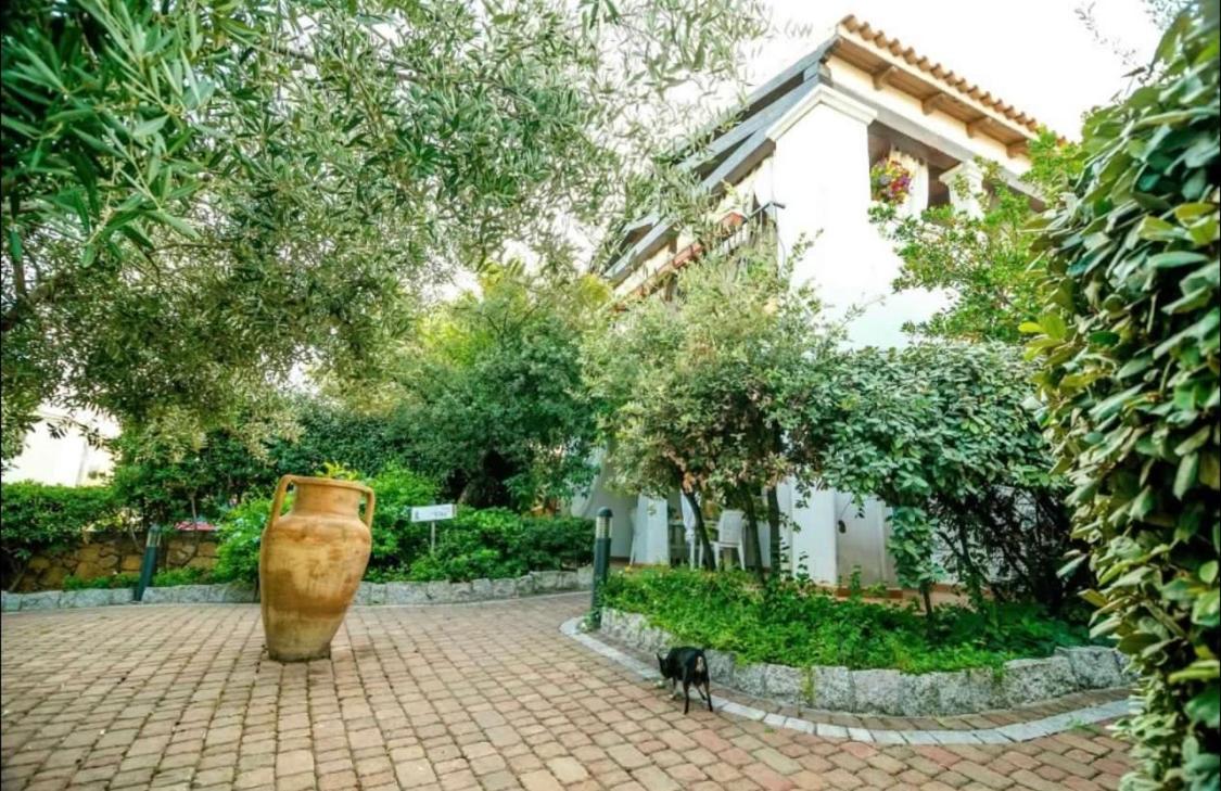 Residence Lu Soli Budoni Affitti المظهر الخارجي الصورة